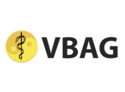 Logo-Vbag